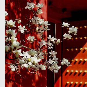 Cote Cour Beijing - Quadrangle Close To Tiananmen Square & Forbidden City & Nanluoguxiang, Walk To Wangfujing, English Speaking, Free Wifi, Free Laundry, Free Wonton & Noodles With Tour Ticket Service, Free Selfies With Ancient Costume
